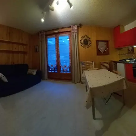 **studio Pour 4 Pers. - Confort, Proximite Commerces/telecabine, Animaux Acceptes** - Fr-1-263-5 *