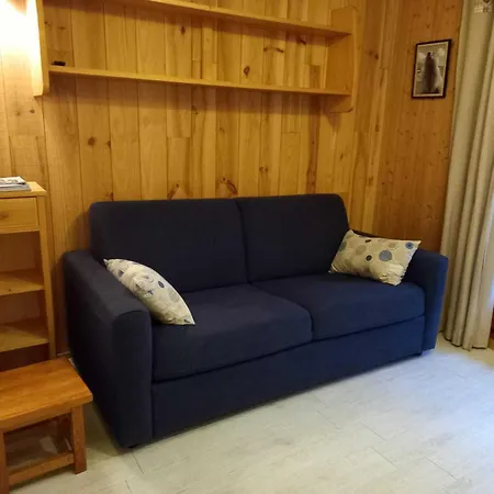 **studio Pour 4 Pers. - Confort, Proximite Commerces/telecabine, Animaux Acceptes** - Fr-1-263-5 Apartment